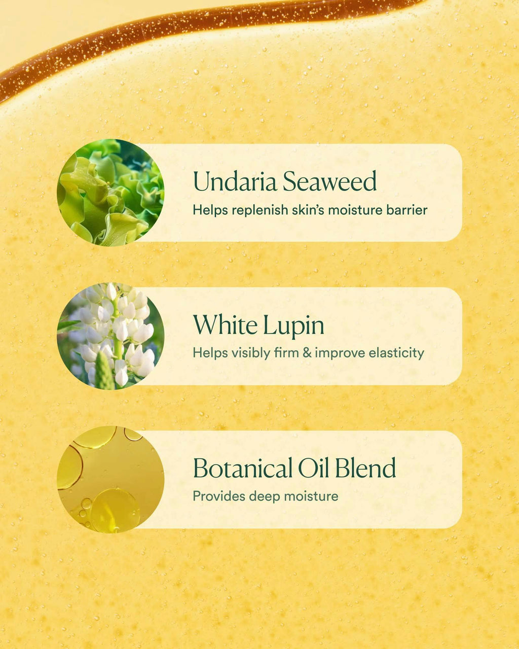 OSEA® Malibu Undaria Algae Body Oil