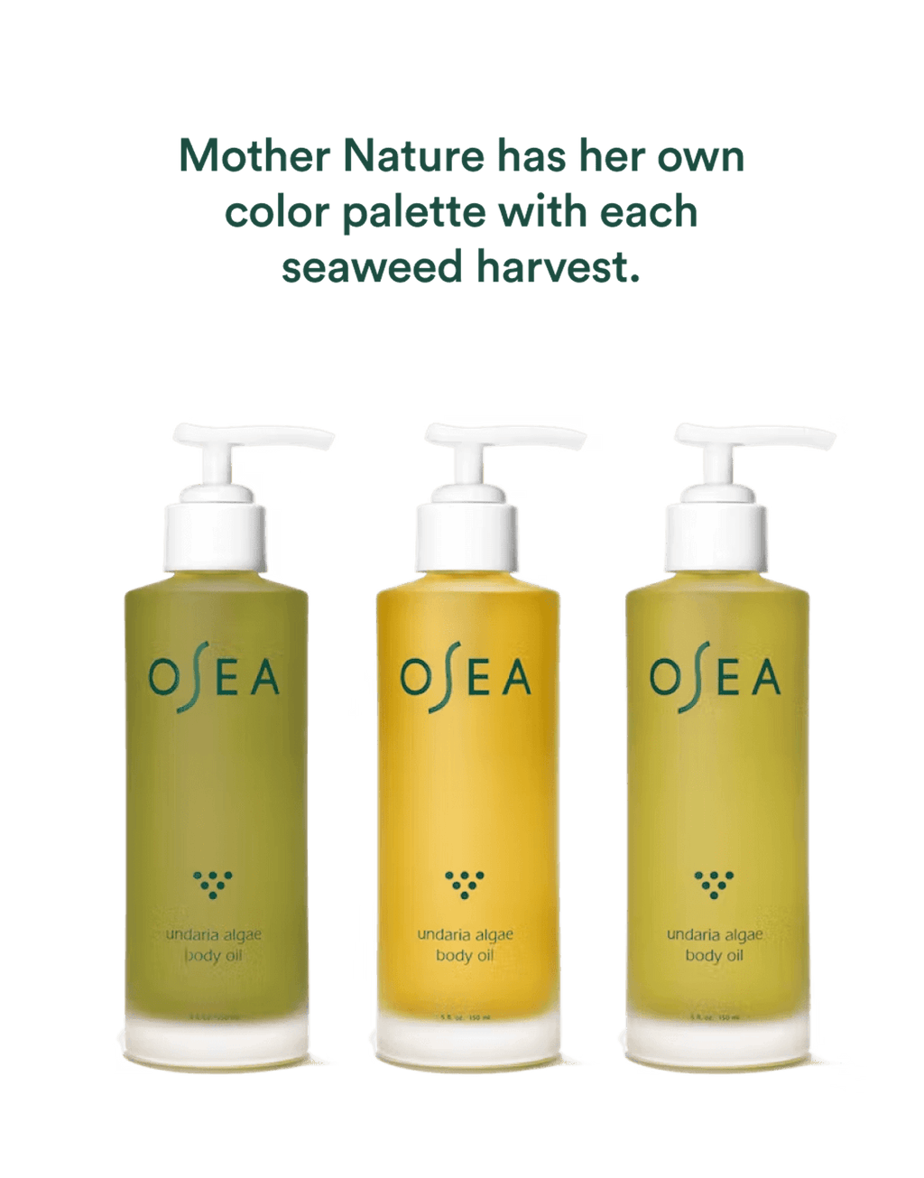 OSEA® Malibu Undaria Algae Body Oil